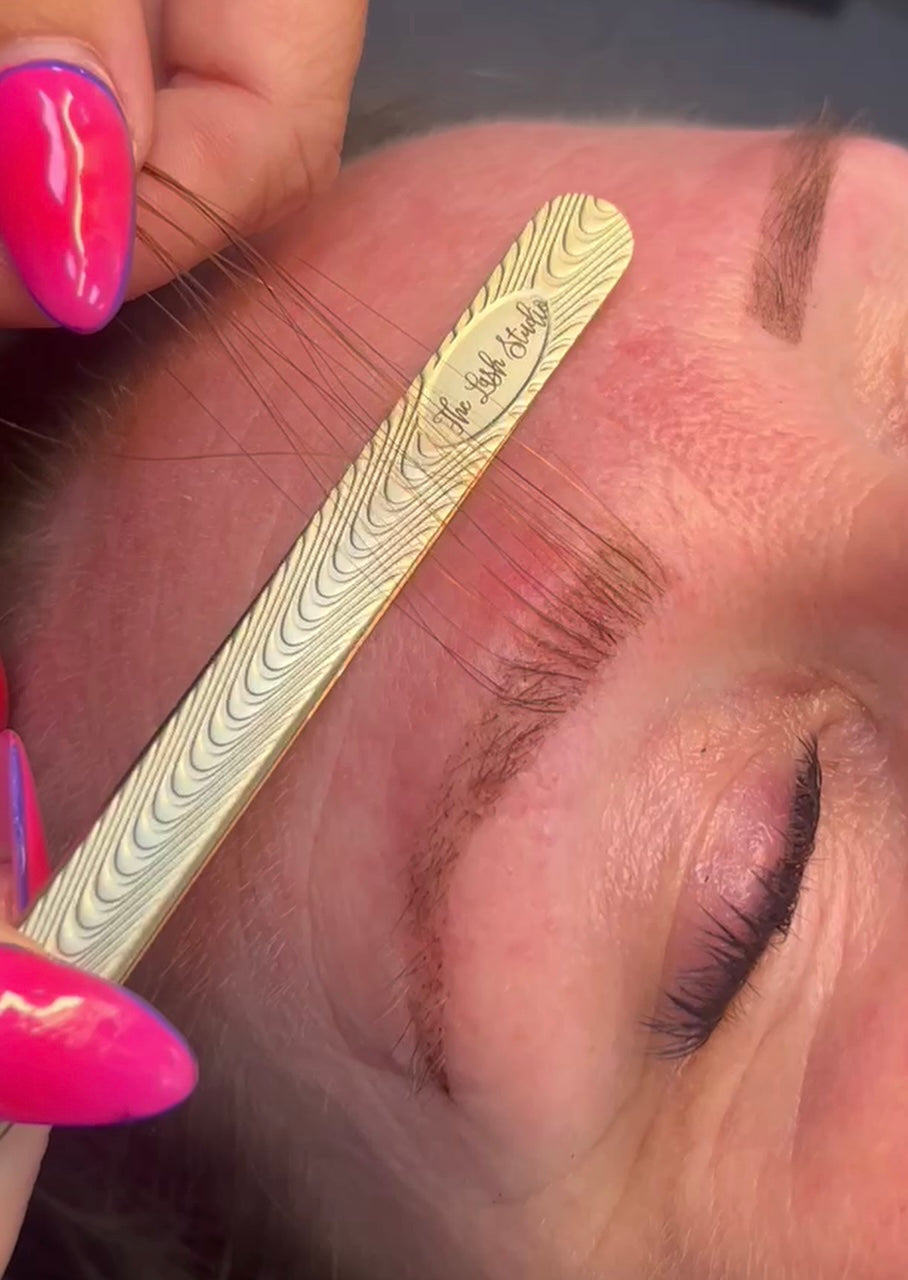 EYEBROW EXTENSIONS TRAINING             IN-PERSON