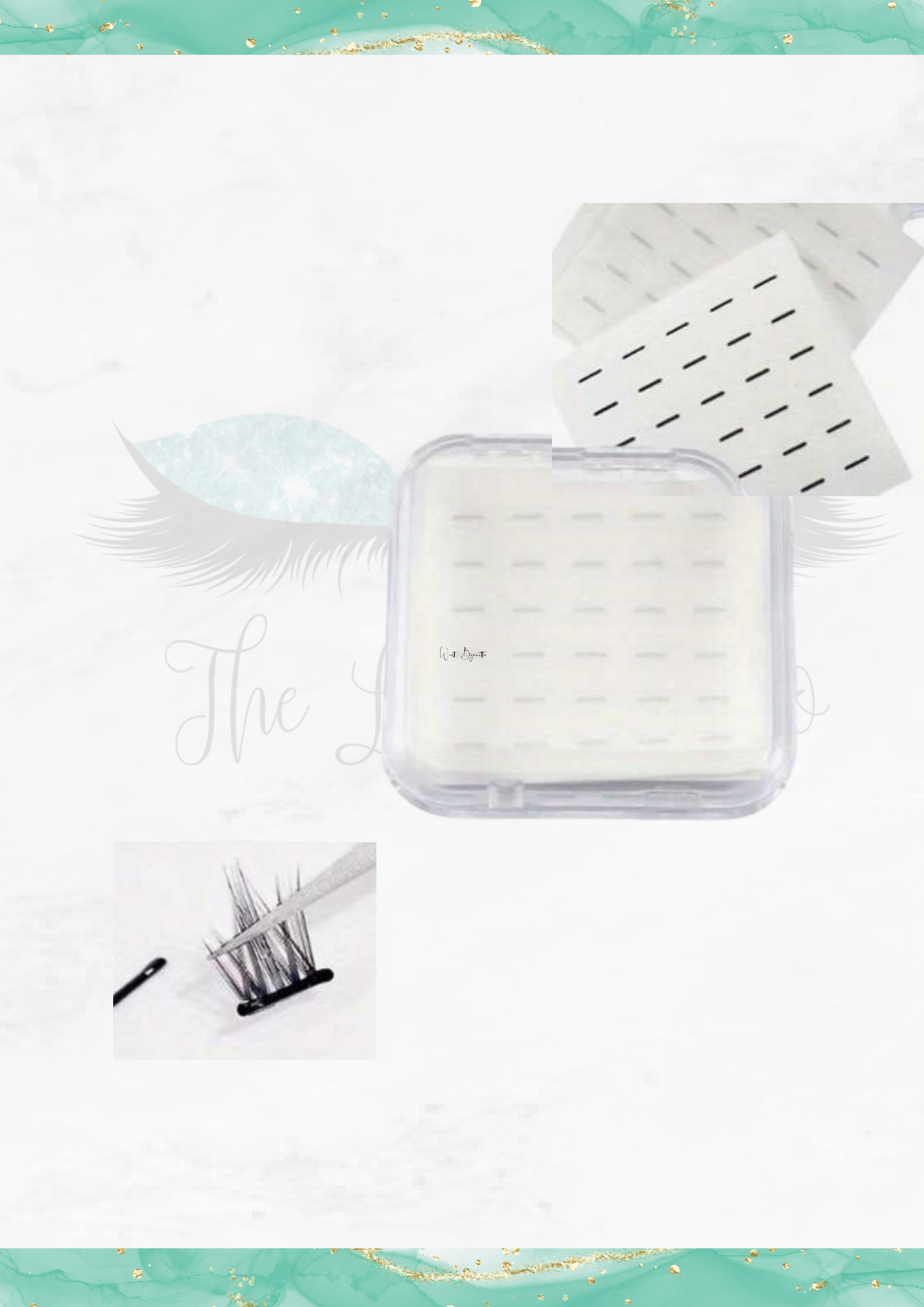 Lash storage strips and case