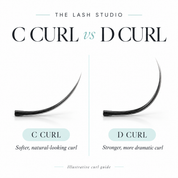 Ultimate Natural Lash Collection – Classic, Double Classic & Angel | 3 Tray Pack