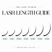 Ultimate Natural Lash Collection – Classic, Double Classic & Angel | 3 Tray Pack
