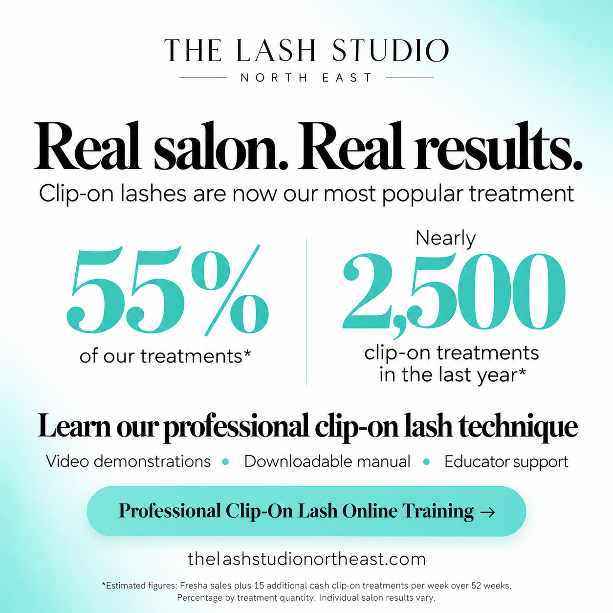 Clip-On Cluster Lash Course — Online